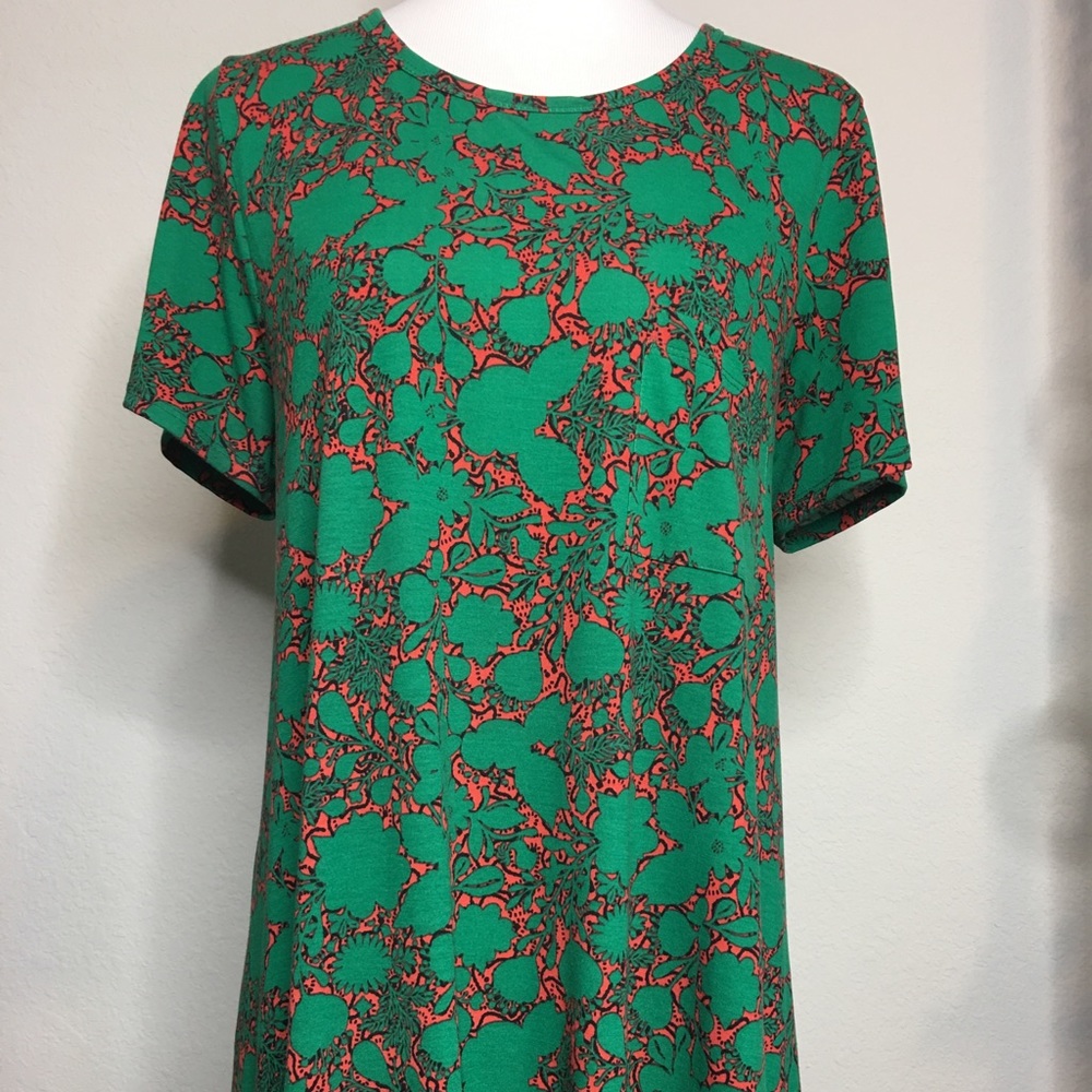 LuLaRoe Carly Dress
